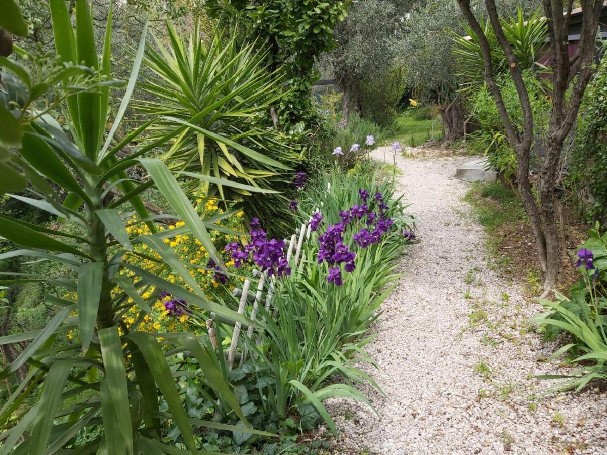 مبيت وإفطار Magagnosc Bastide De La Lauve المظهر الخارجي الصورة