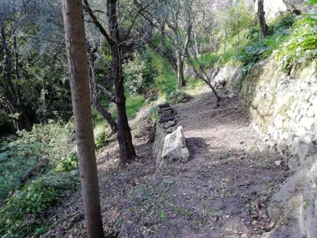 مبيت وإفطار Magagnosc Bastide De La Lauve المظهر الخارجي الصورة